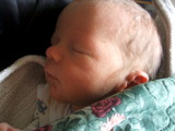 Birth notice for Copinger Lachlan